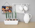 NEW Shiba Inu Fall Kitchen Pumpkins Wall or Door Hanging Prints Aluminum Metal Sign Kitchen Wall Bar Bathroom Plaque Home Decor, 8HX12W, Multicolor