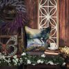 Swan Throw Pillow Machine Washable, Indoor Outdoor Decorative Pillow for Couch, Bed or Patio, 14Hx14W