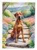 Rhodesian Ridgeback Spring Path Garden Flag Mailbox Flag Decorative Yard Flag Banner Outside Patio Artwork Yard Flower Beds, Garden Size, Multicolor