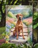 Rhodesian Ridgeback Spring Path Garden Flag Mailbox Flag Decorative Yard Flag Banner Outside Patio Artwork Yard Flower Beds, Garden Size, Multicolor