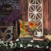 Elf Owl Throw Pillow Machine Washable, Indoor Outdoor Decorative Pillow for Couch, Bed or Patio, 14Hx14W