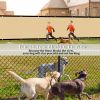 Artpuch Privacy Fence Screen Sand Customized Outdoor Mesh Panels for Backyard, Balcony,Patio,Construction Site with Zip Ties